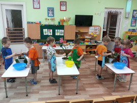 Неделя "Комнатные растения" в группе "Звездочки" Неделя "Комнатные растения" в группе "Звездочки".